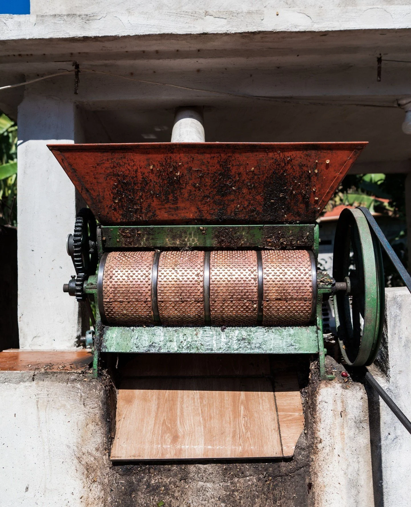 What's new in Guatemala? After the harvest, pruning, fertilization, and shade management are all part of the farmer's work. Producers can also use this time to perform maintenance on their equipment, such as depulpers.