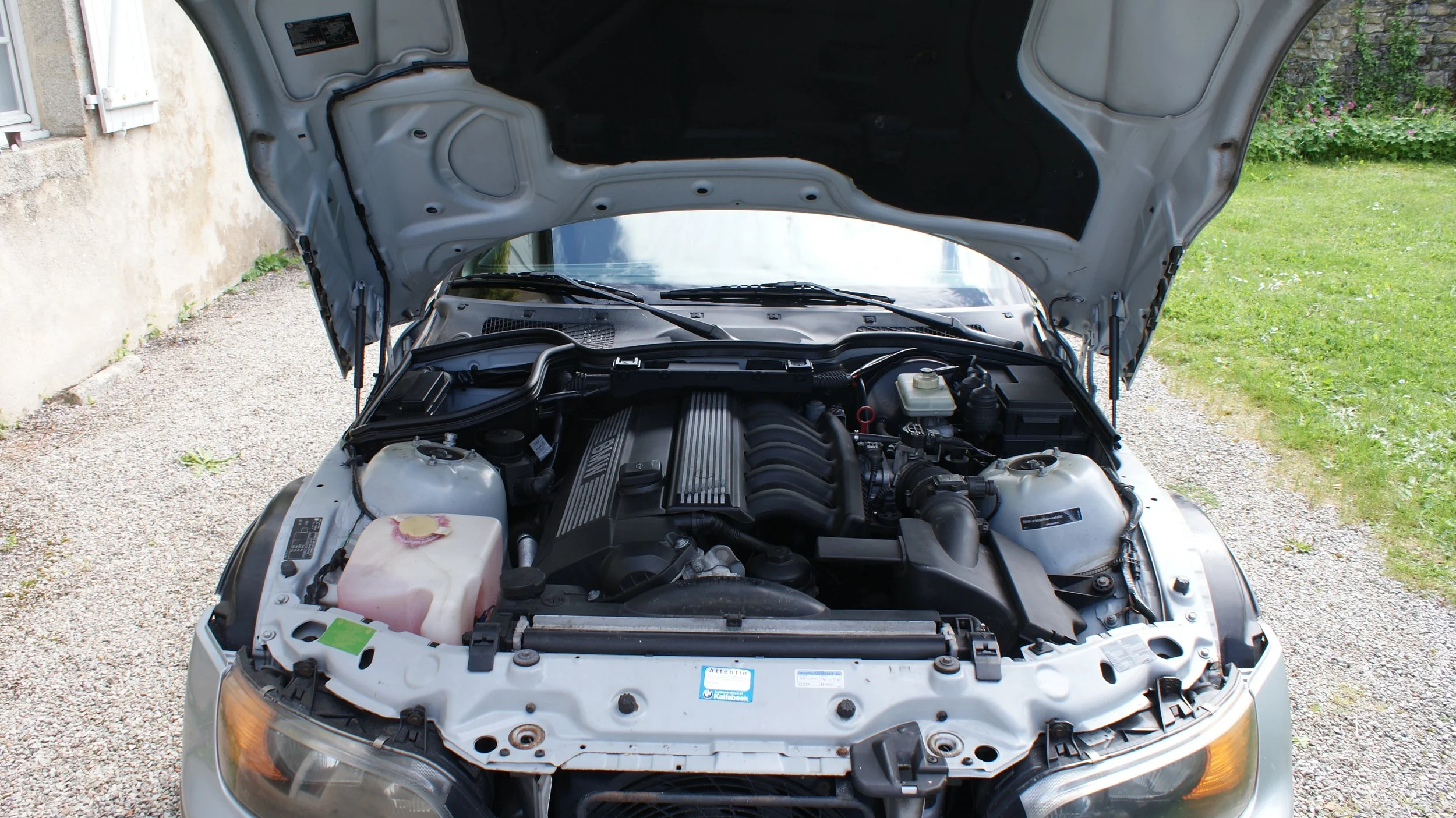 DSC05586 - Copie - Copie.JPG