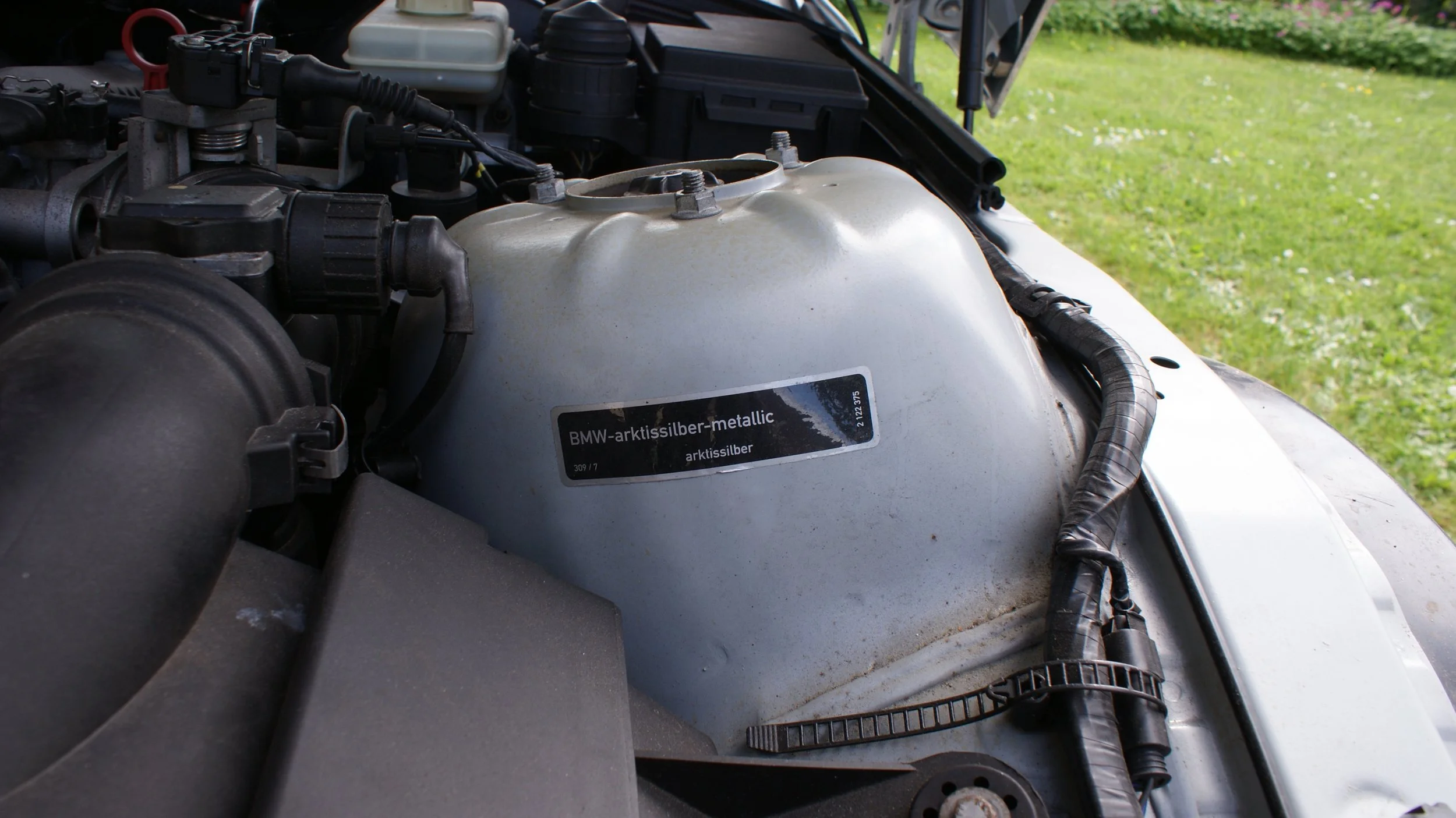 DSC05587 - Copie.JPG