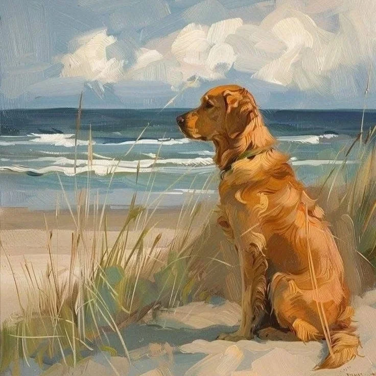 cane spiaggia