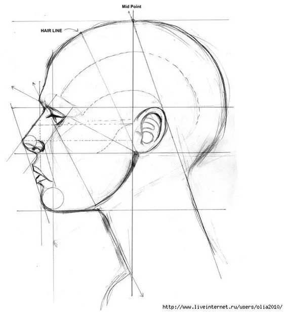 Mezzo arancia con parte tagliata e disegnata su carta
