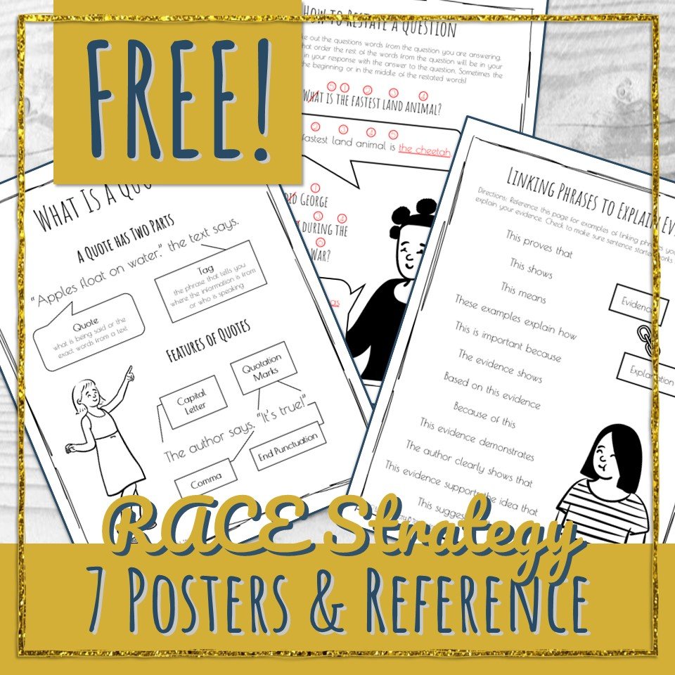 FREE RACE Strategy Posters