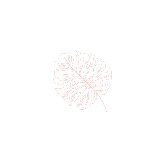 Une illustration d'une feuille de monstera stylisée en ligne claire sur fond noir.