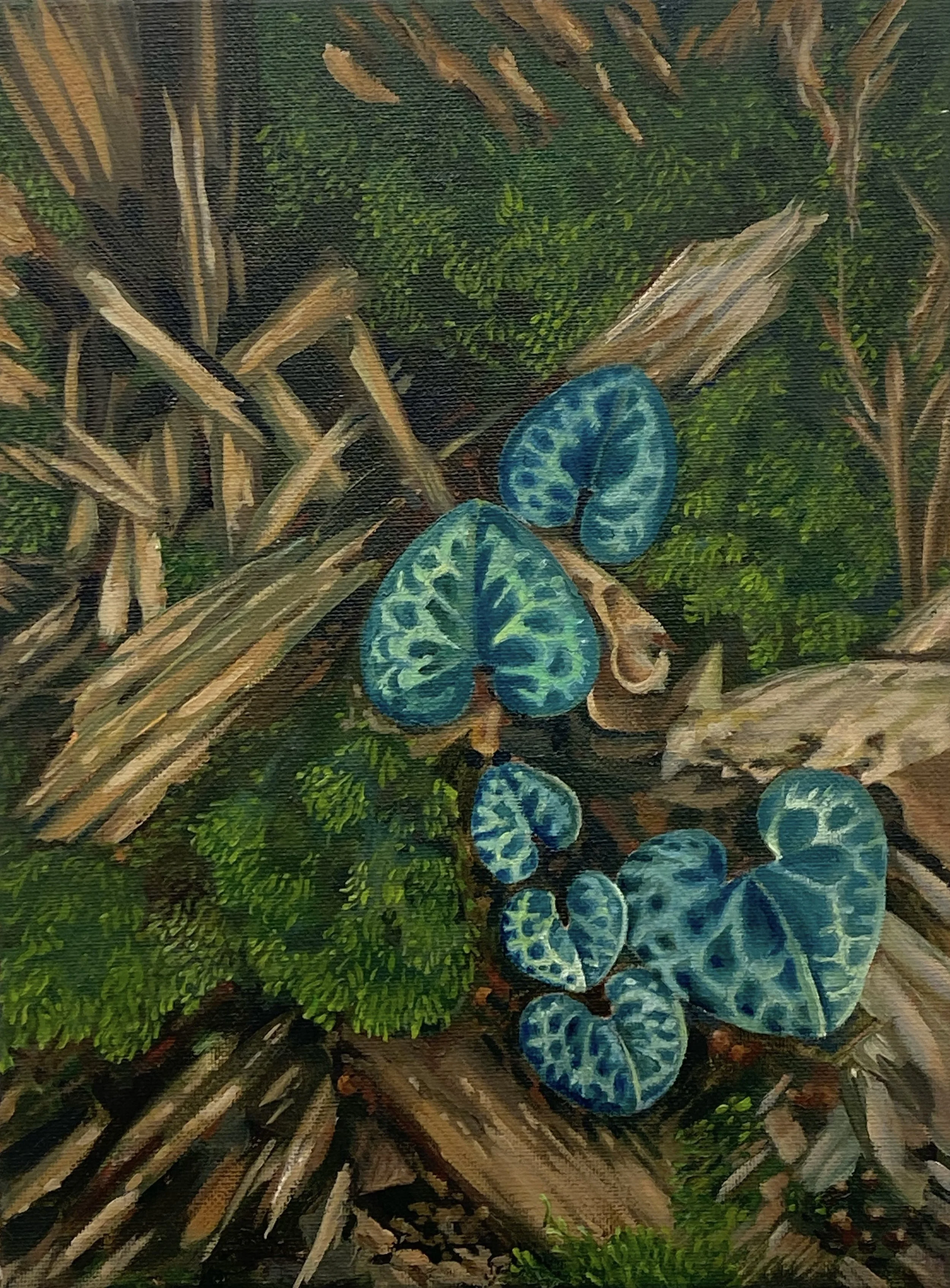 Hearts on my Leaves
Oil on Canvas
12" x 8" 