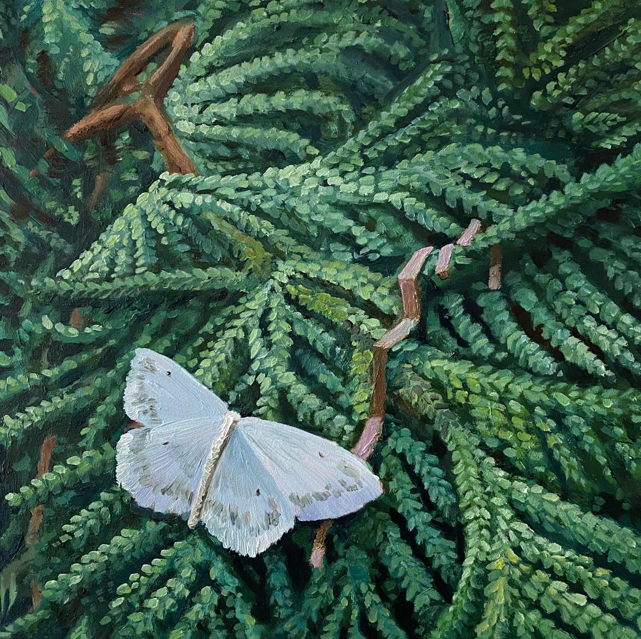 Aftermath
Oil on Panel
6" x 6"