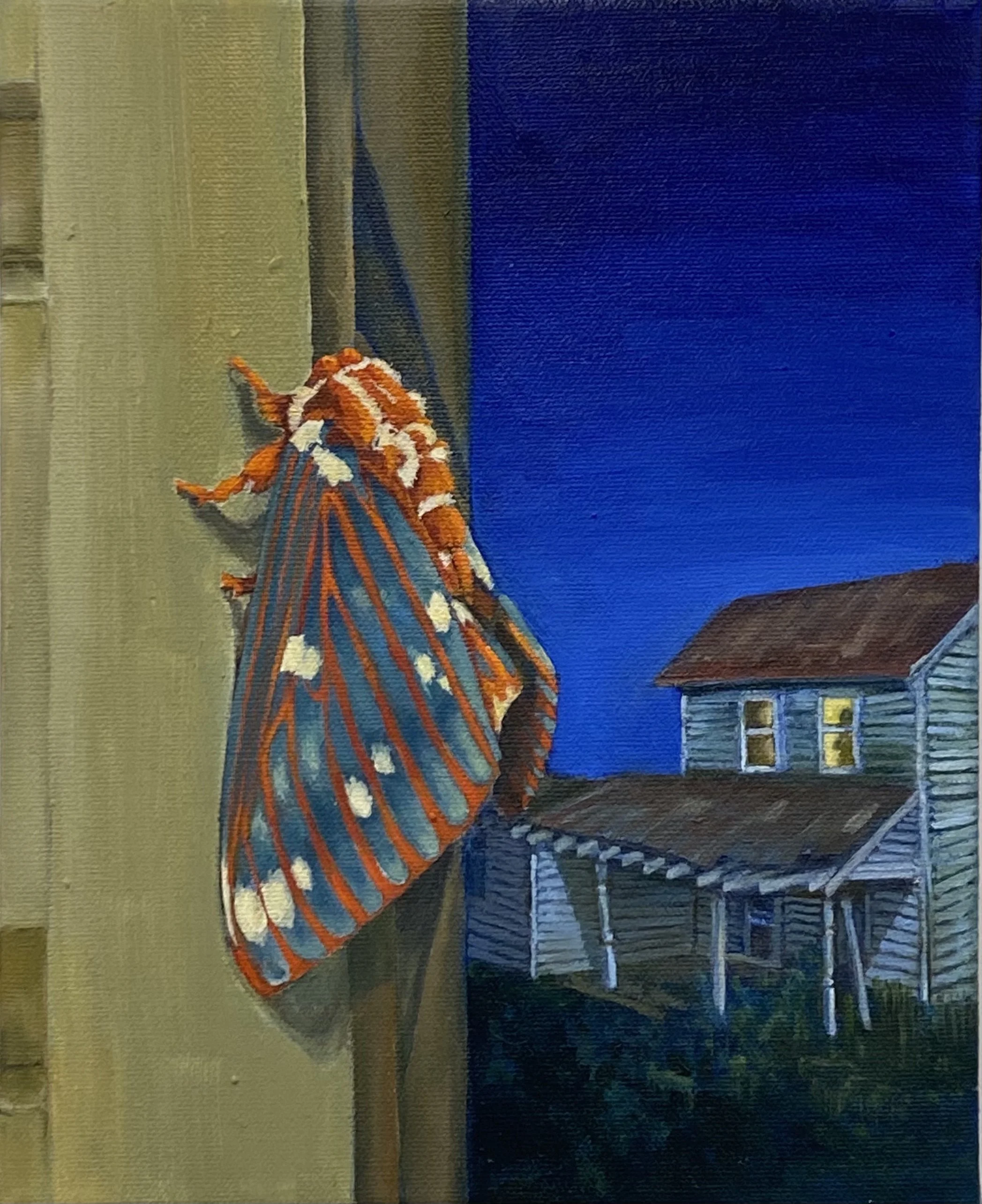 Safe Distance (SOLD)
Oil on Canvas
12" x 10"