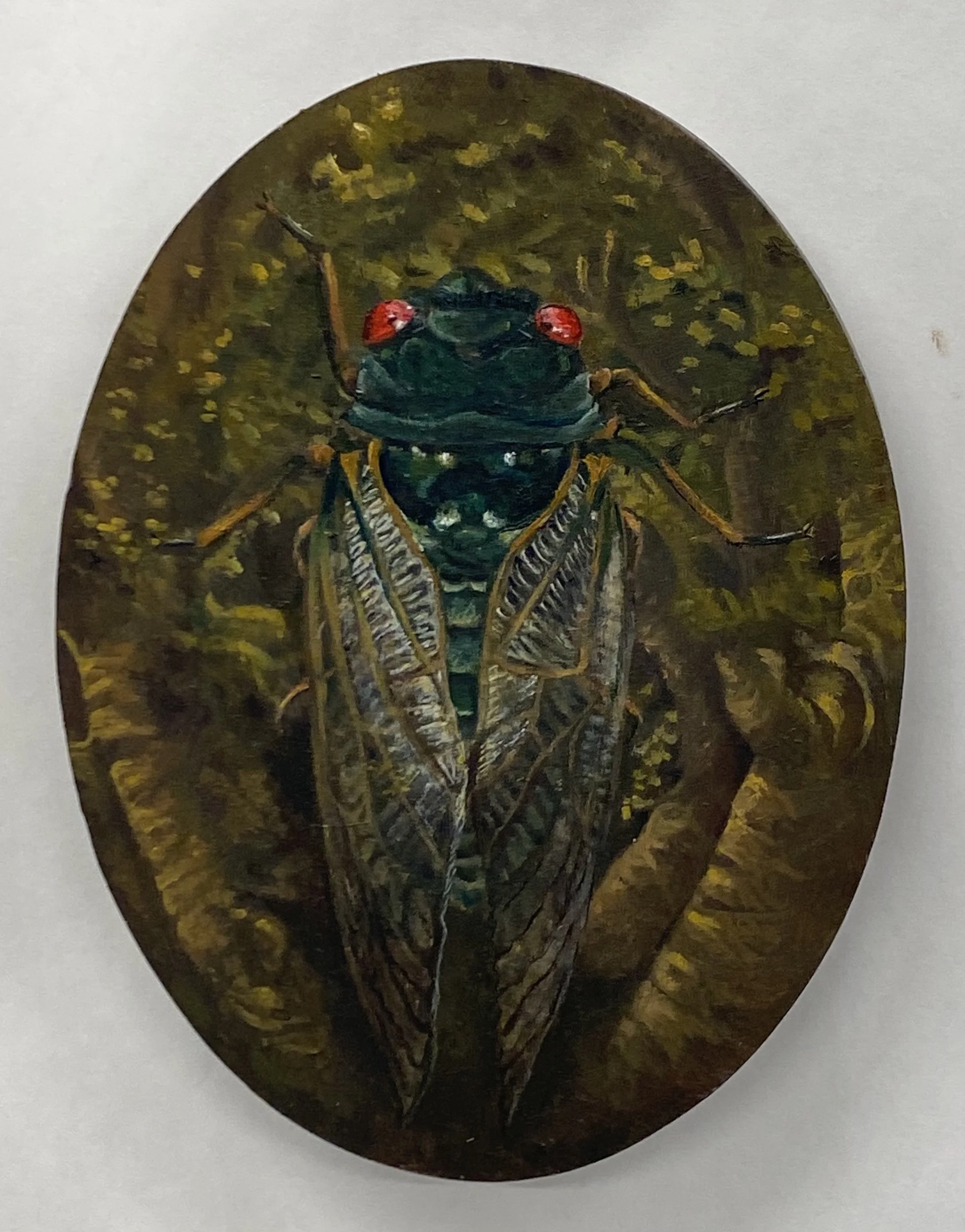 Untitled (Cicada)
Oil on Panel
10" x 8" Oval