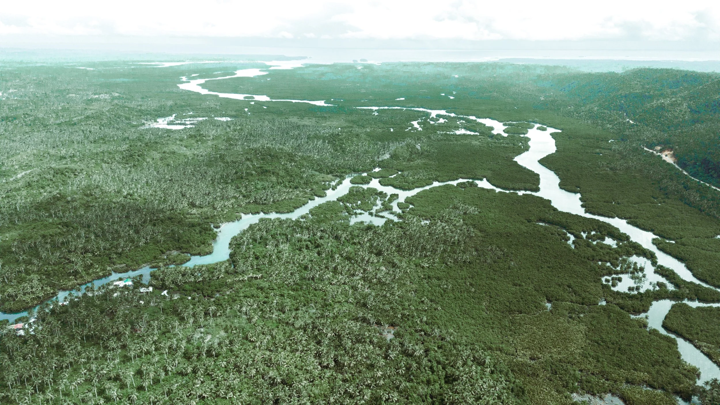 Aerial view of a lush green landscape with winding rivers and dense forests.