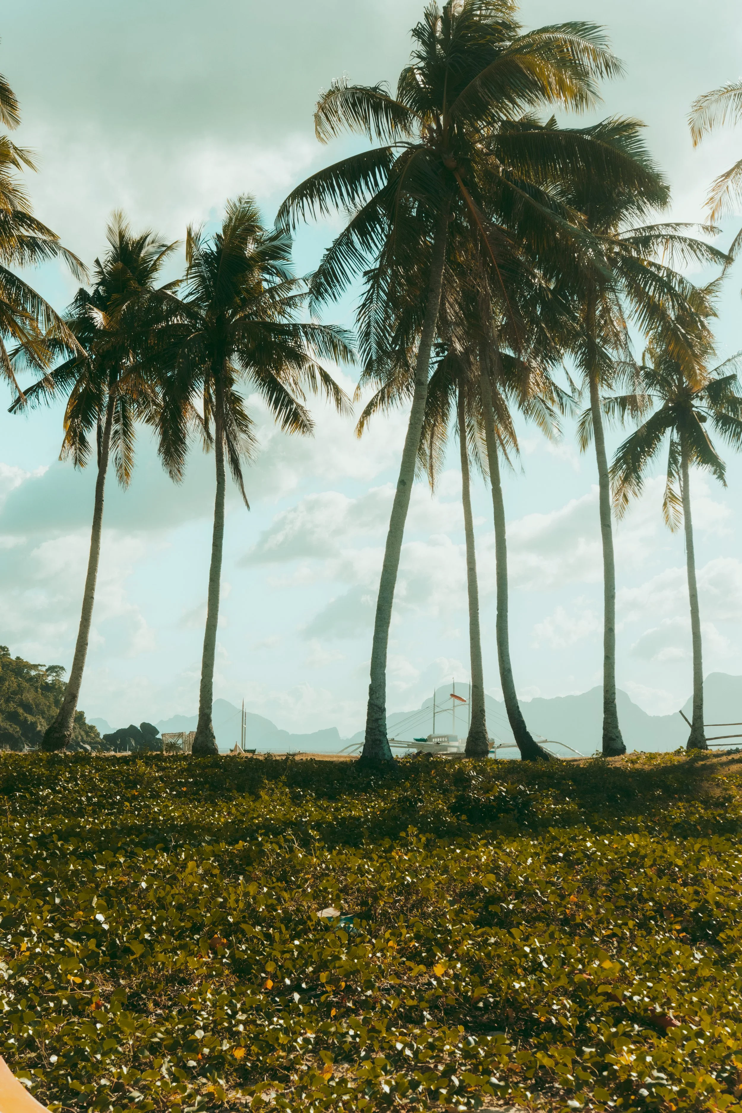 A tropical beach scene with tall palm trees, a boat in the distance, and mountainous islands under a partly cloudy sky.