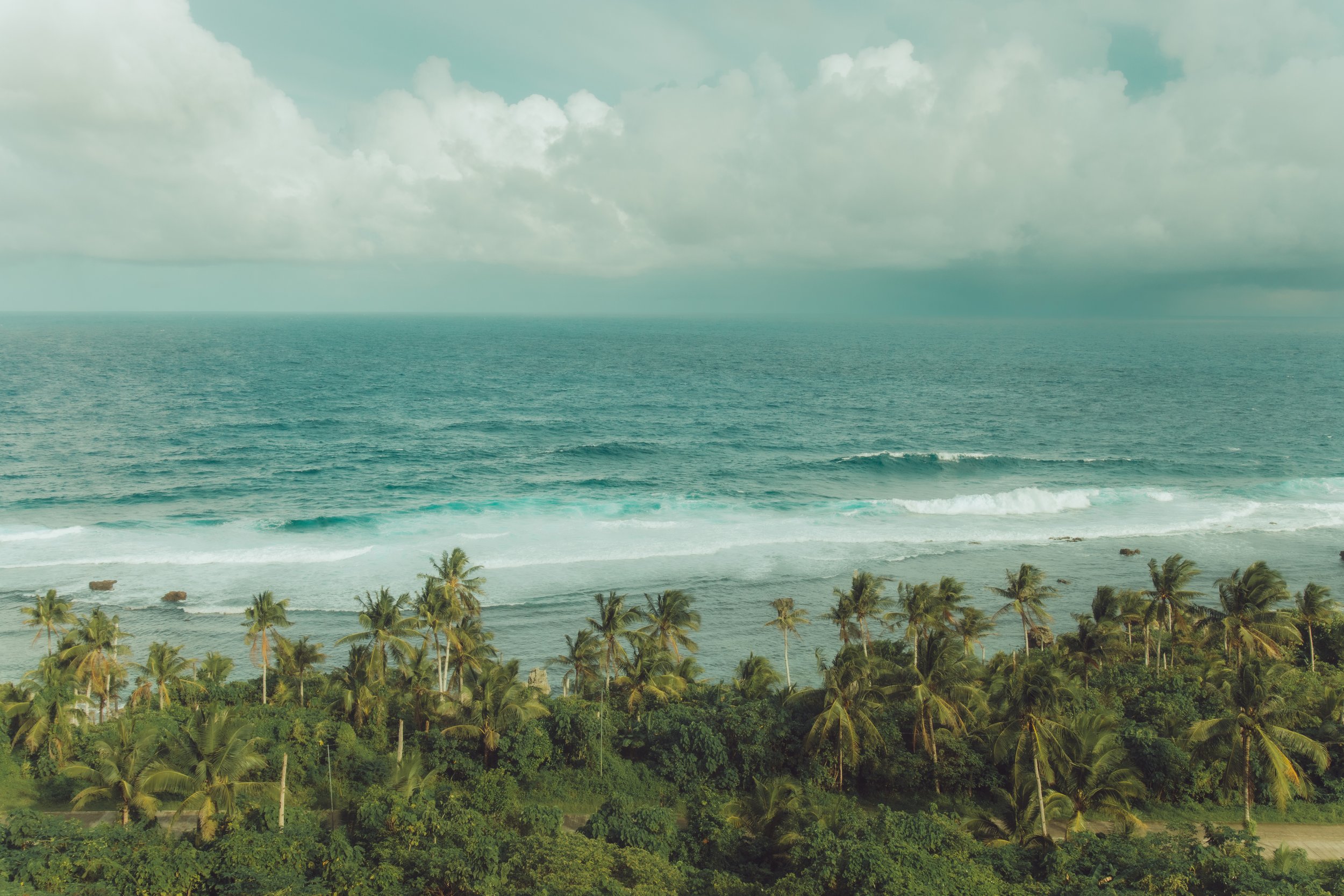 A tropical beach with tall palm trees, lush green vegetation, and ocean waves under a partly cloudy sky.