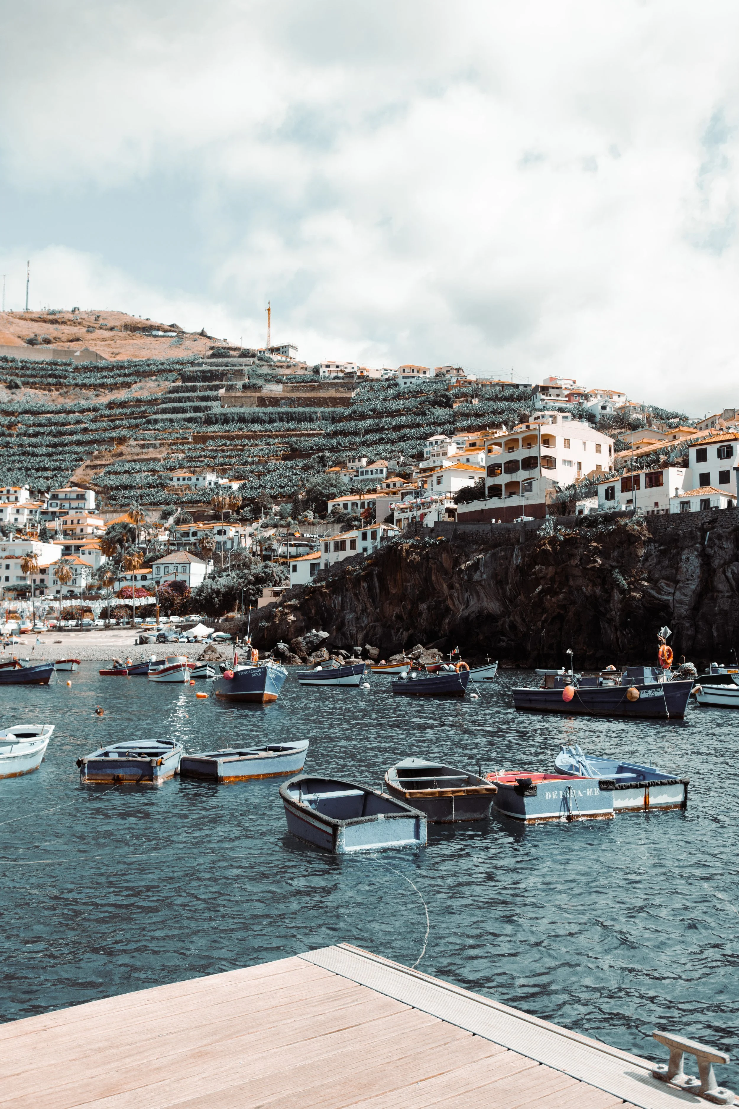 Boats docked in a harbor with hillside houses above.