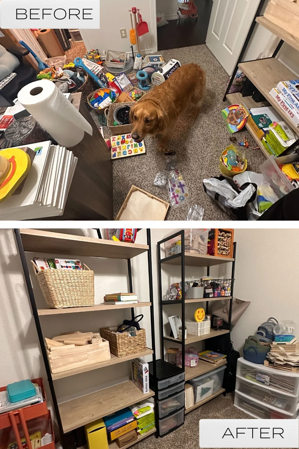 Before and After Portrait.jpg