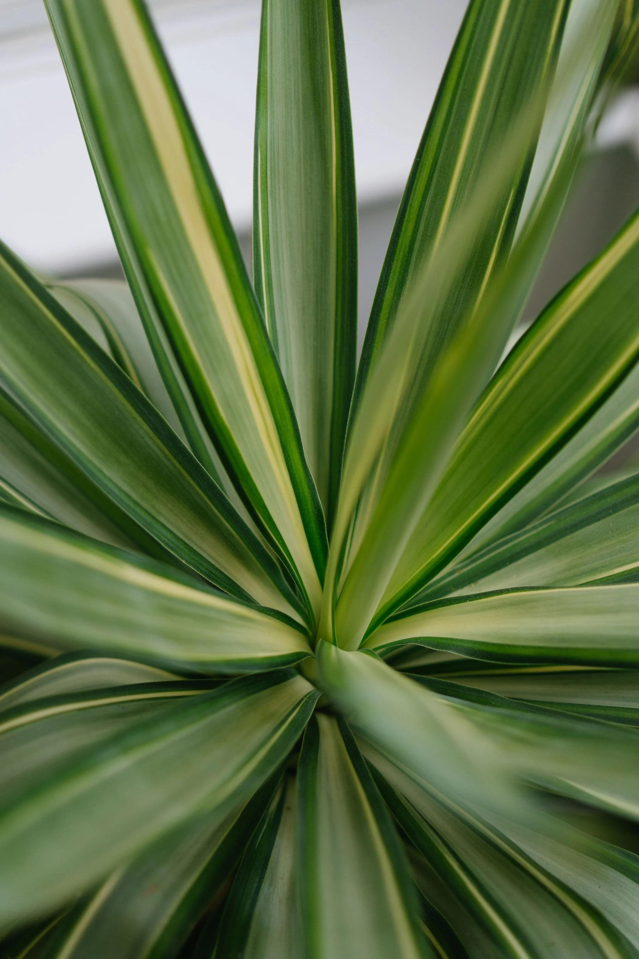 Kent Interior Photographer41.jpg