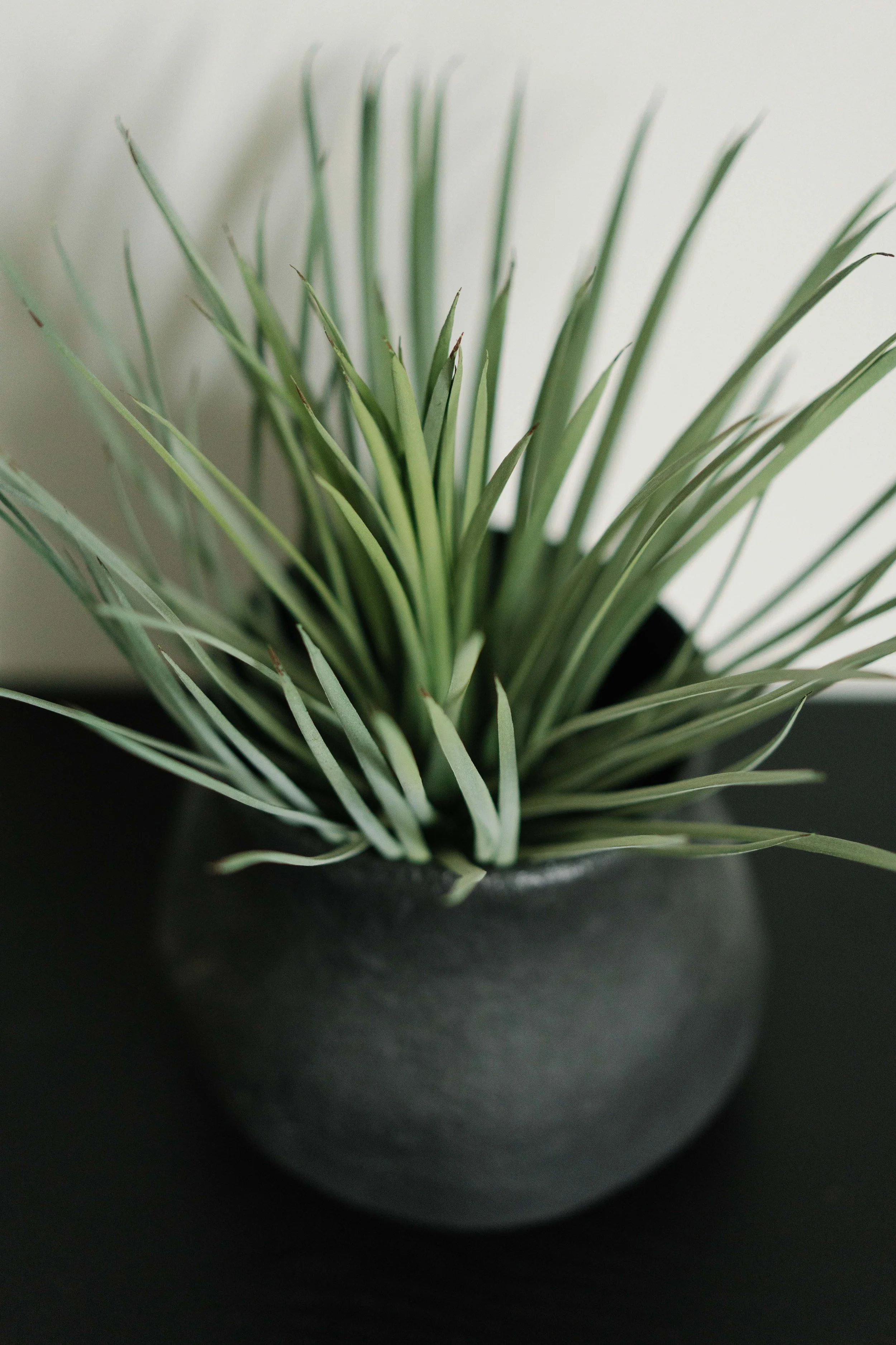 Margate Interior Photographer-14.jpg