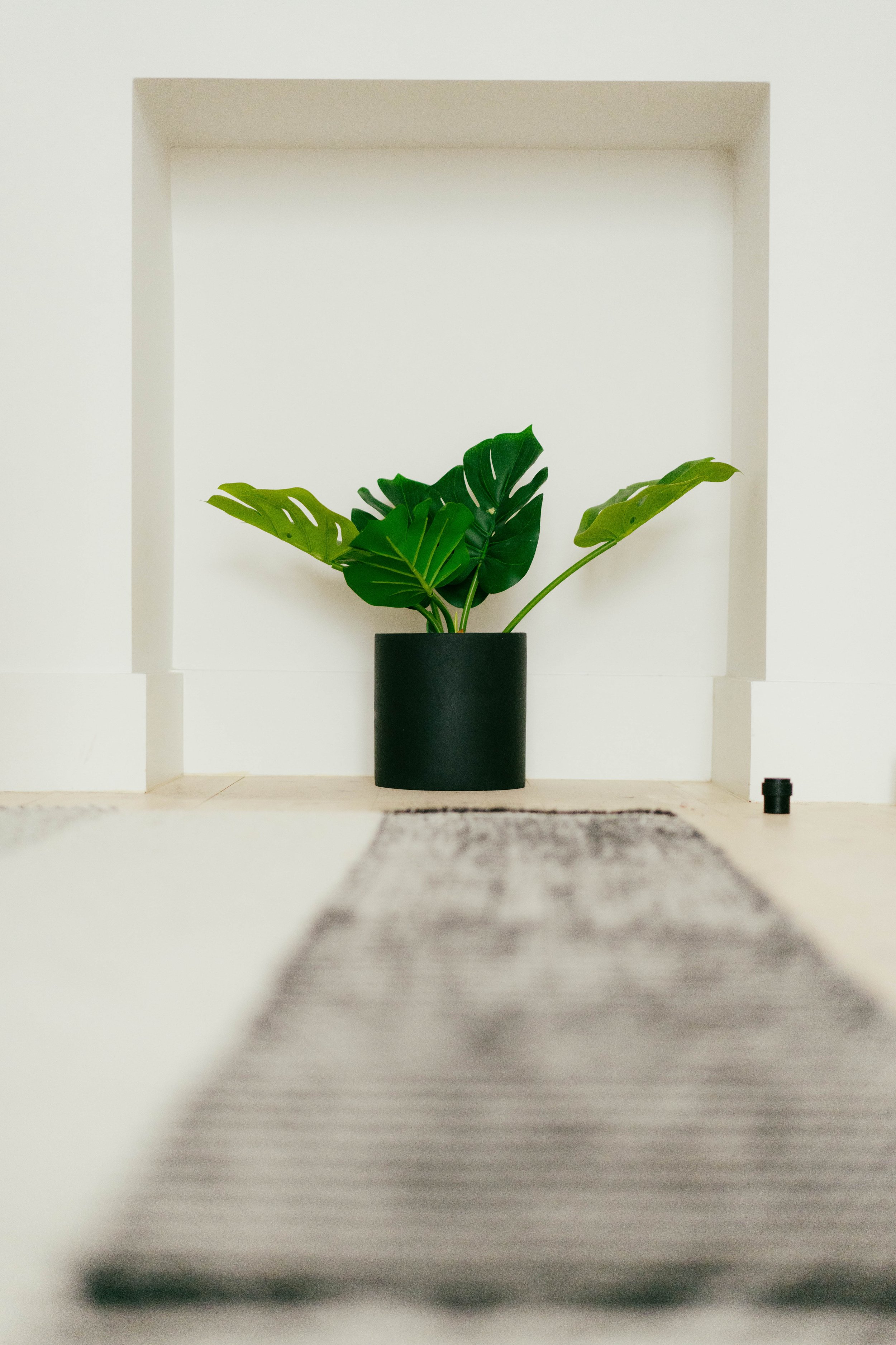 Margate Interior Photographer-27.jpg