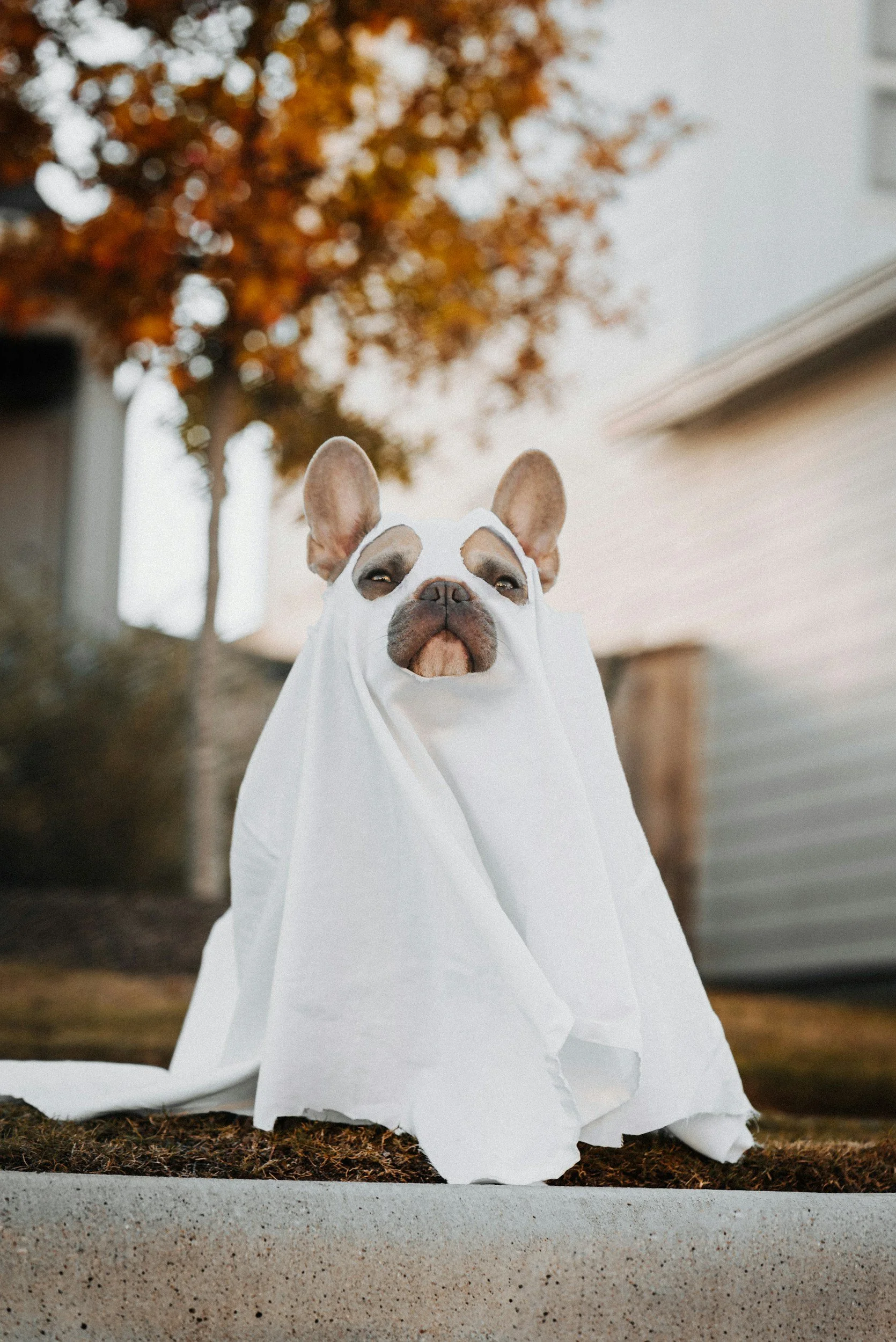 Spooky Season Begins at Archetype