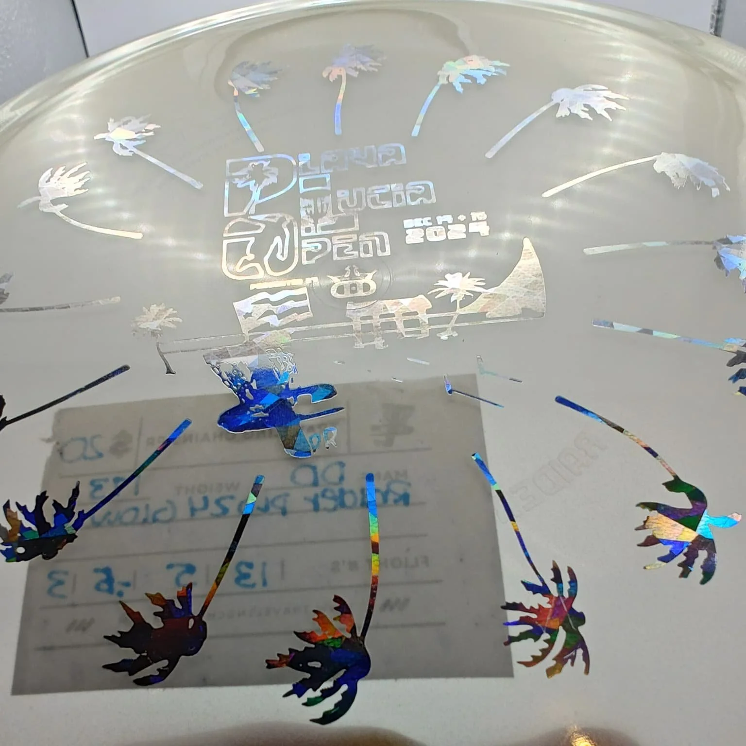 Dynamic Discs PLO24 Raider Glow Silver Holo Foil 173g detail.jpeg