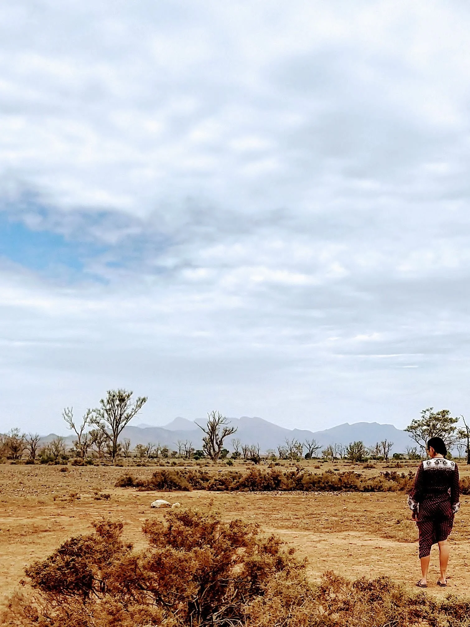 Feeling Hopeless About the Climate? Try Our 30-Day Action Plan