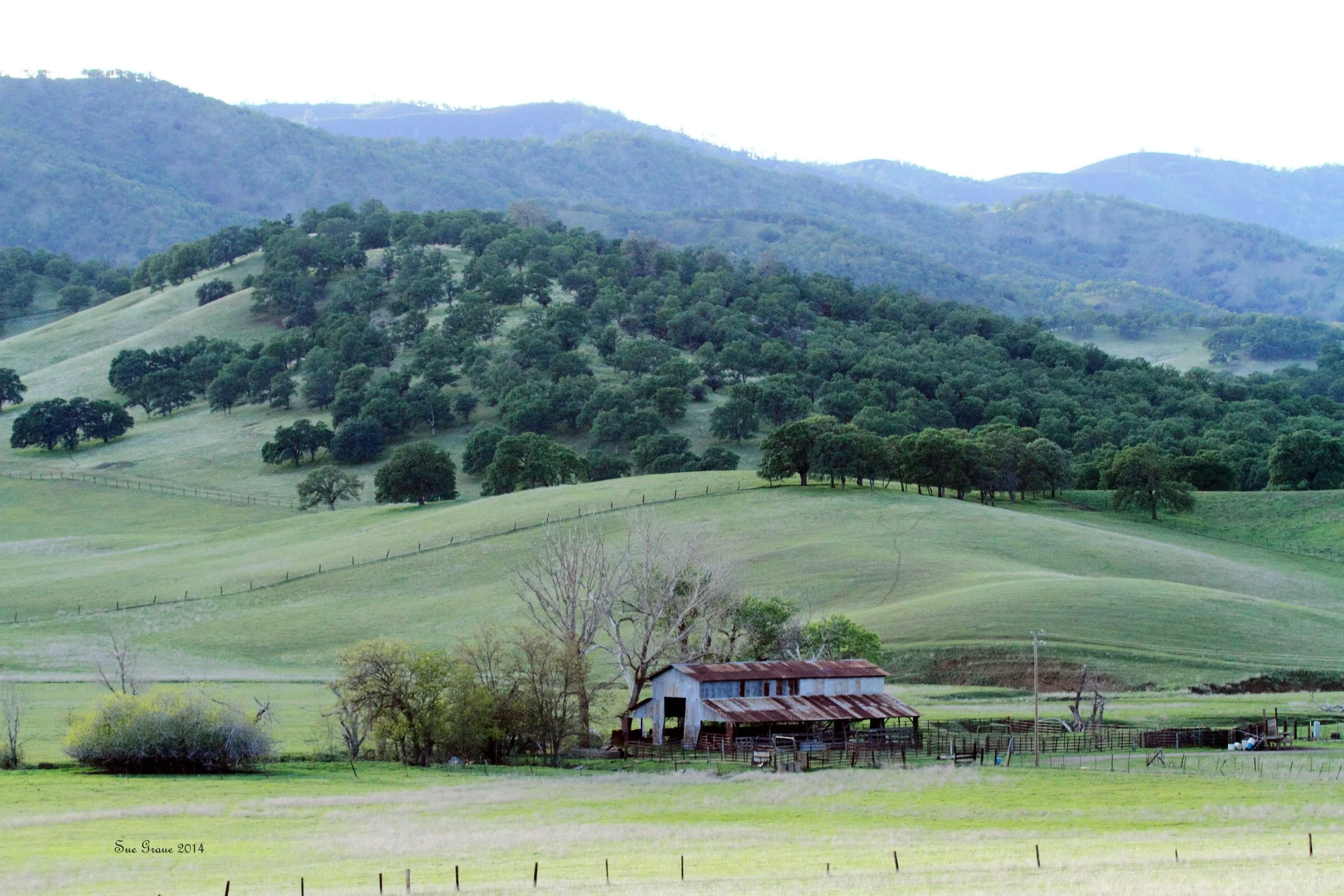 Editorial: Sites Reservoir is Not a Silver Bullet. Here’s Why.