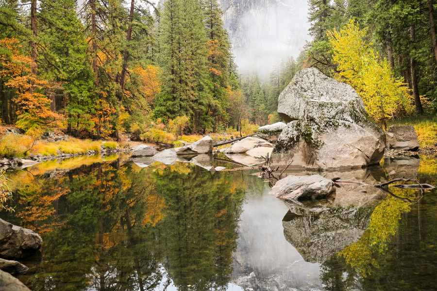 Resistance: A Reflection on Hope, Power, and Persistence