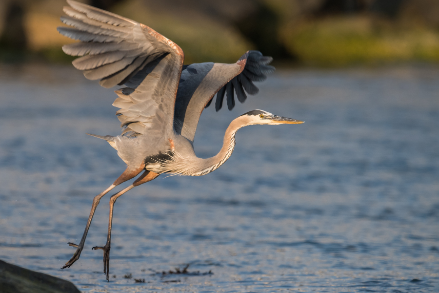 Reflections on Environmentalist Power&nbsp;