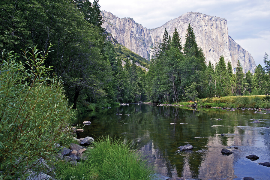 Top Wins for California Rivers in 2025
