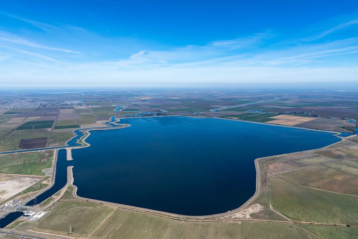 Louvers, and Pumps, and Predators, Oh My!&nbsp;