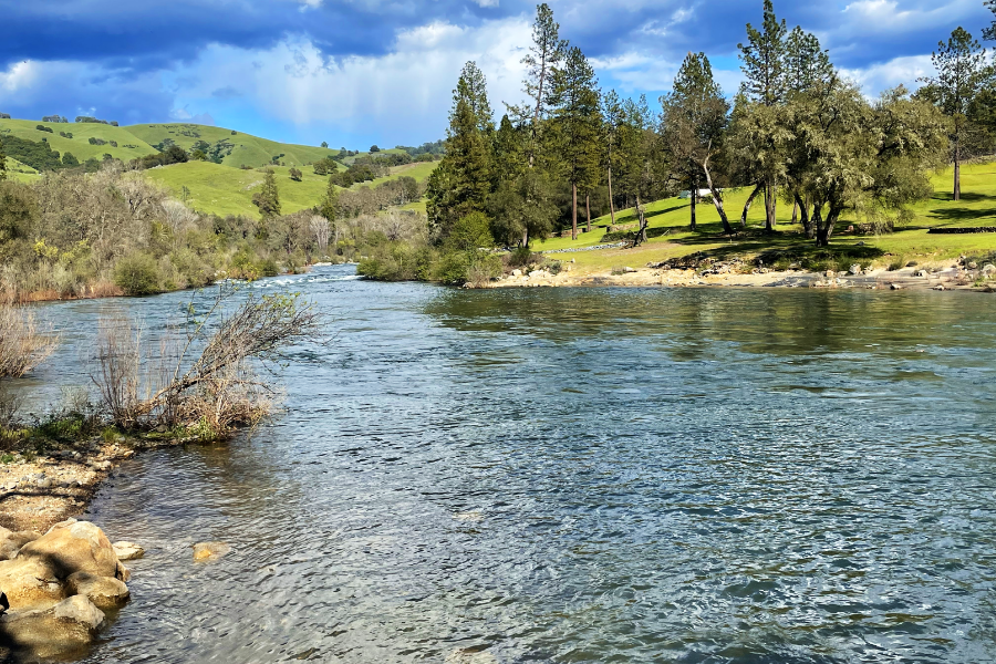 Are Claws Back in the South Fork American River?