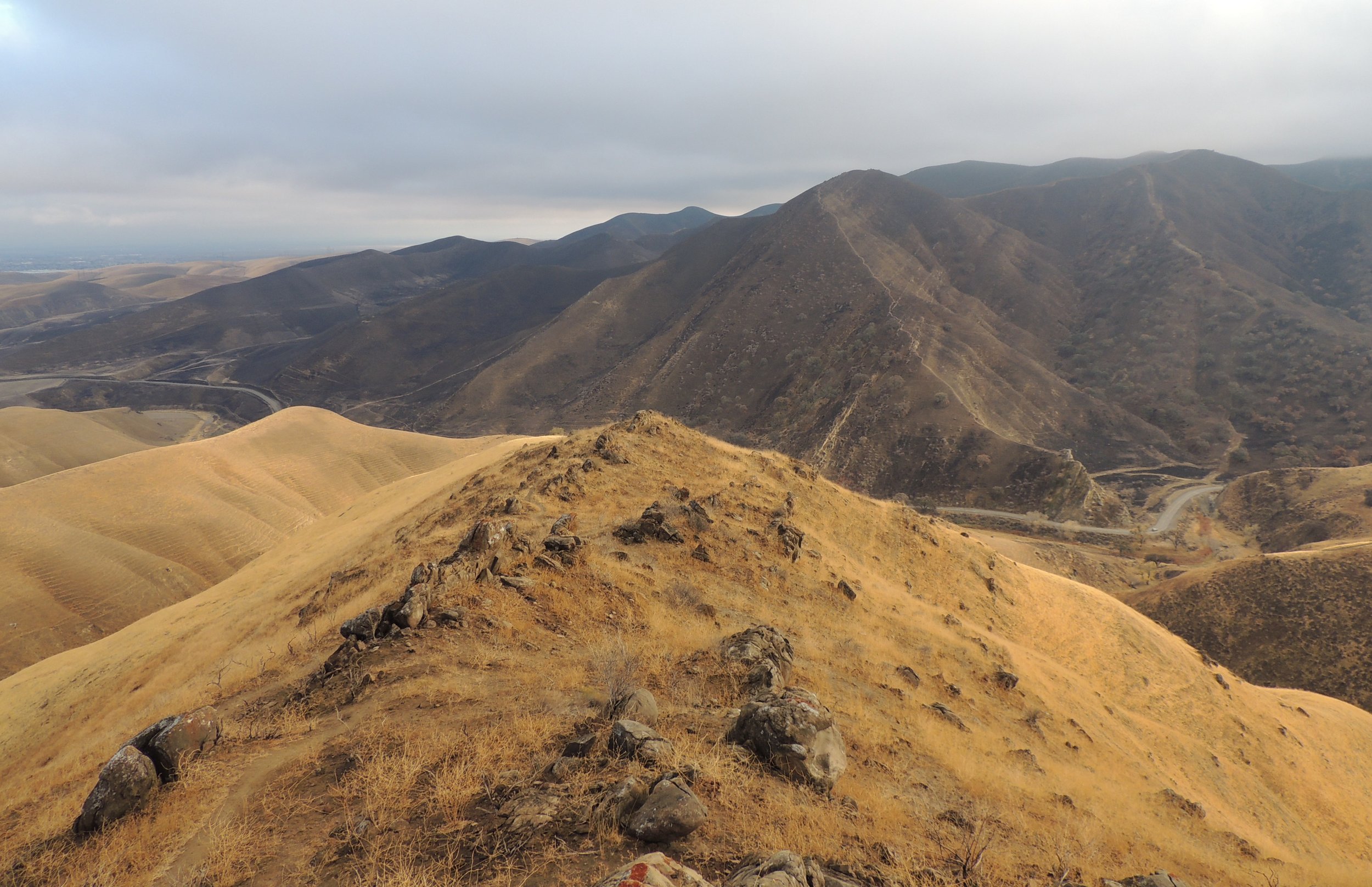 Next Steps Loom for Del Puerto Canyon Dam