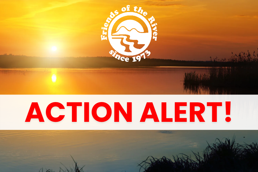 Double Jeopardy for Bay-Delta and Rivers, Part 1: Bay-Delta Plan