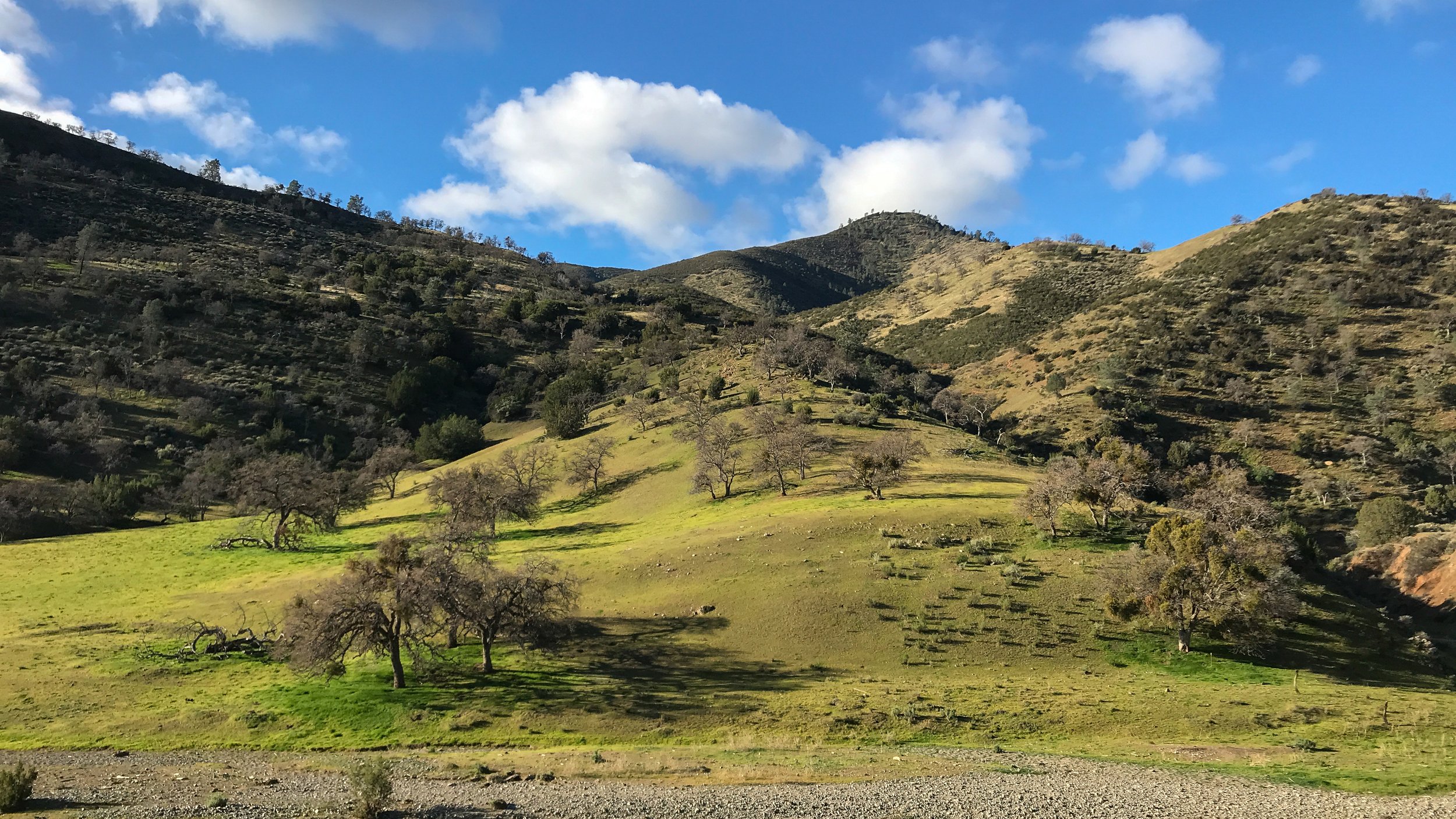 Rush to Judgment at Del Puerto Canyon&nbsp;&nbsp;