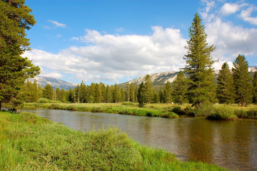 Some Sizzle Served up on the Tuolumne