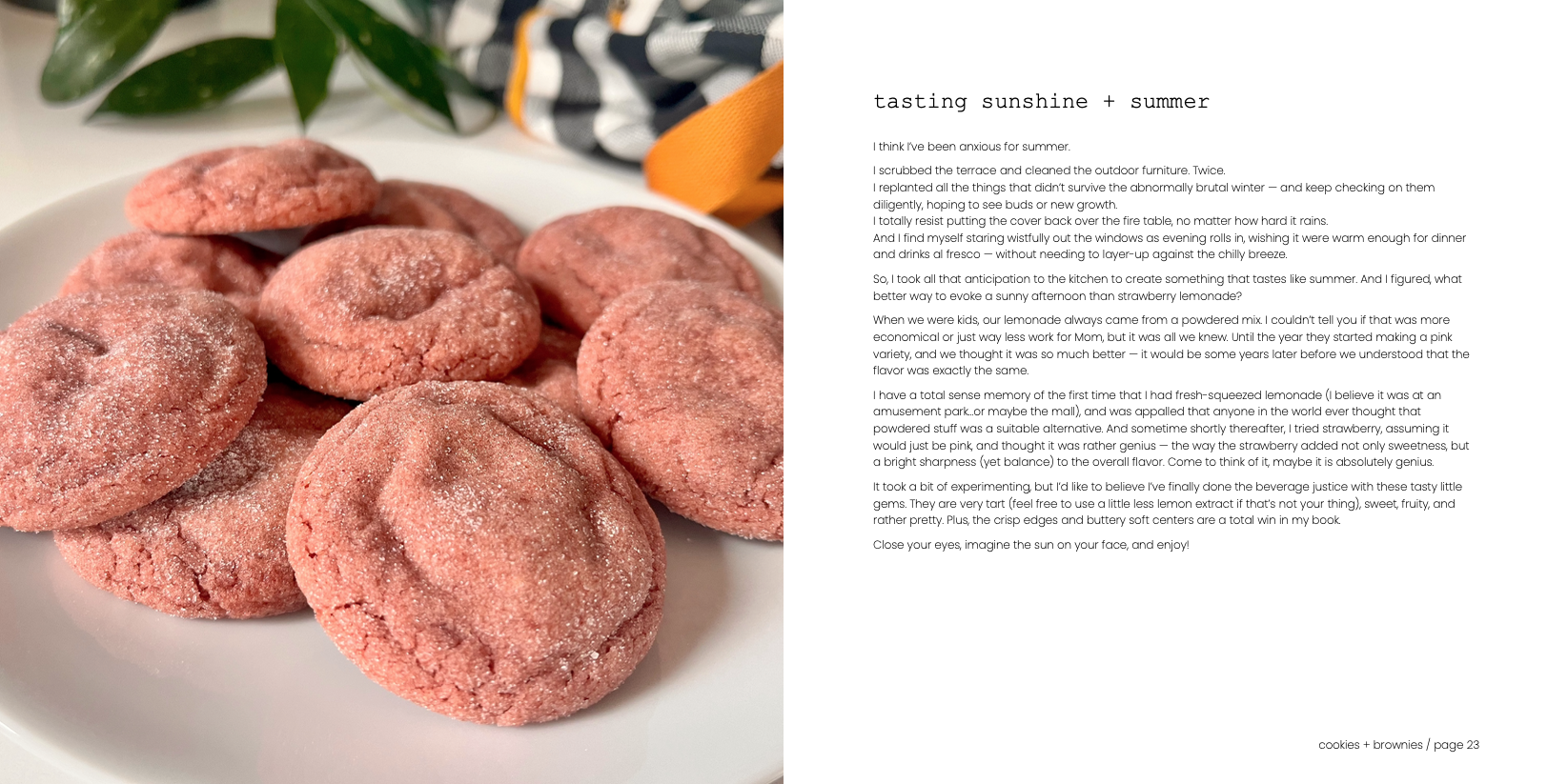 f+s cookbook b.png