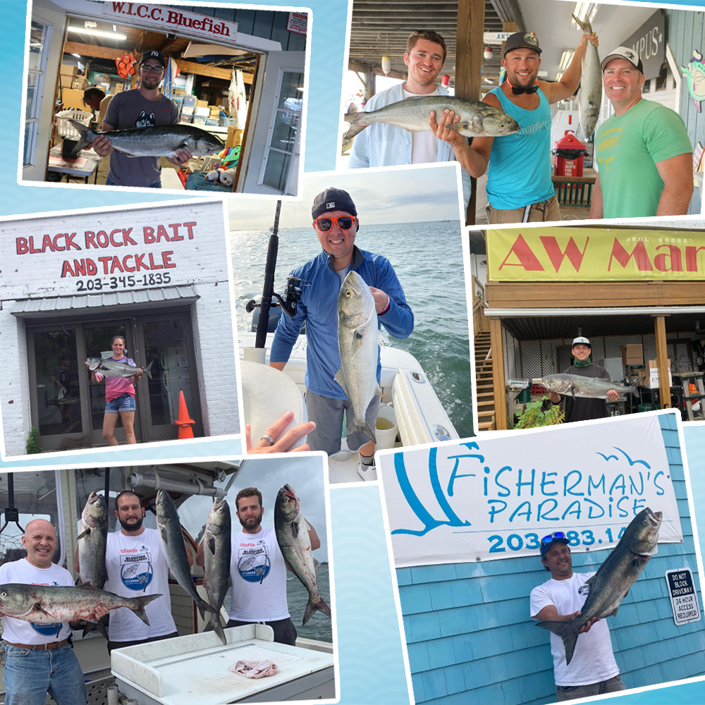 Greatest Bluefish Tournament on Earth