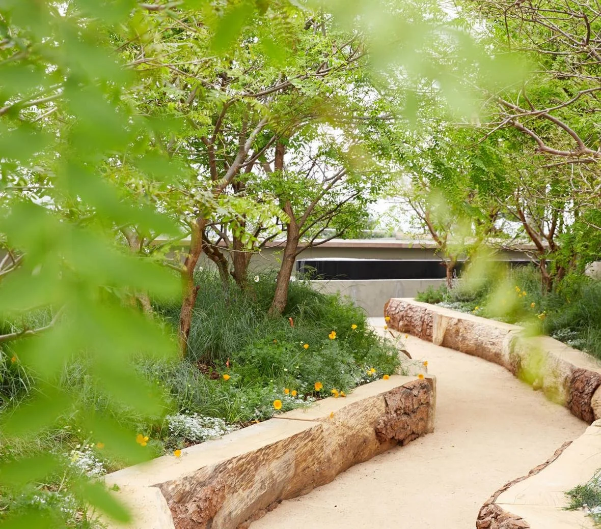 canyon_7245_lr (1).jpeg