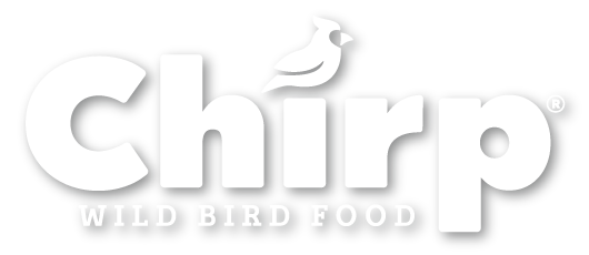 Chirp Wild Bird Food