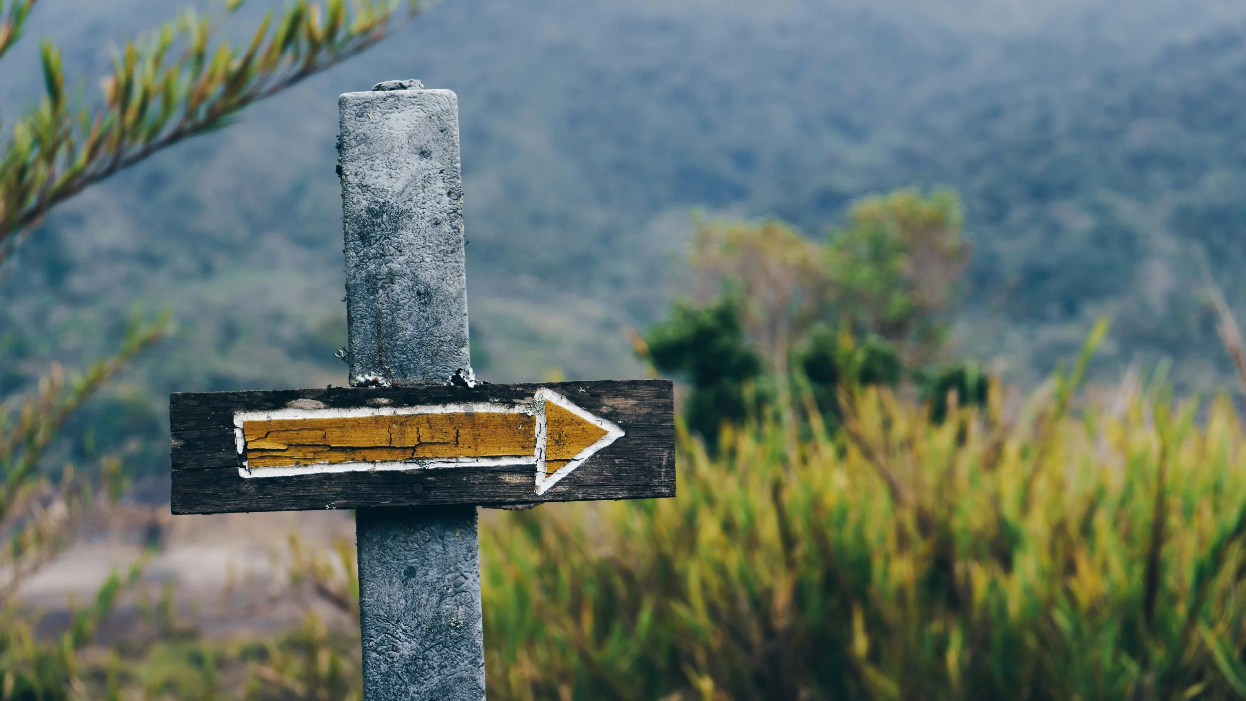 Guardrails and Guideposts - Men’s Study