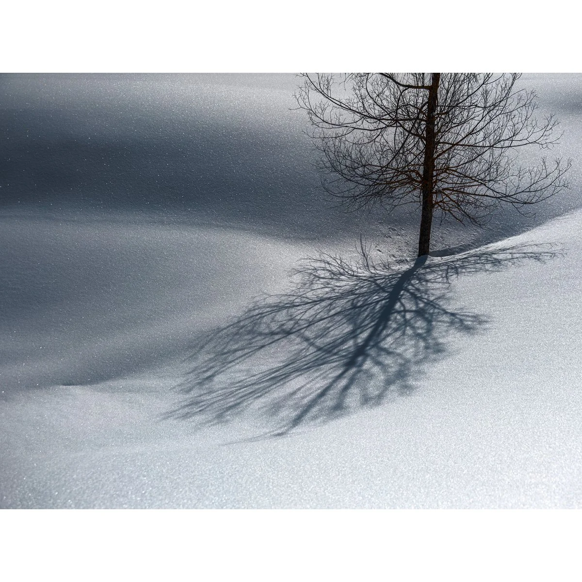 Bild t-4 (im Zugertal)