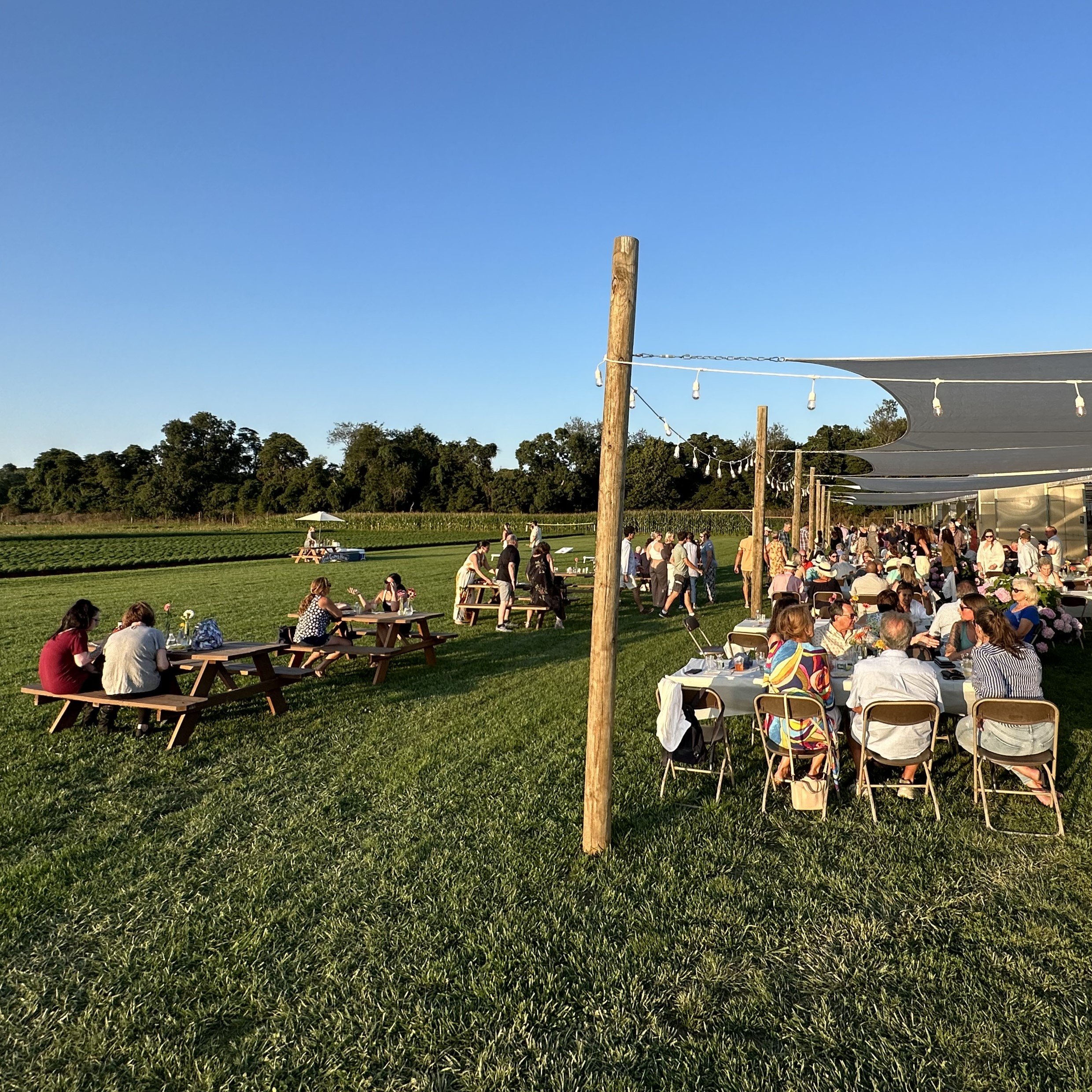 CSA-dinner.jpg