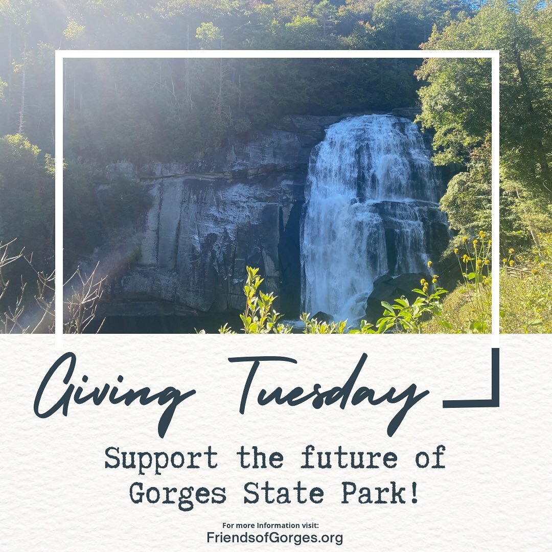 It&rsquo;s Giving Tuesday! ✨ Celebrate and support your local state park by donating or becoming a member of FOG. The Friends of Gorges State Park exist for the sole purpose of supporting Gorges State Park and every donation goes directly to that goa