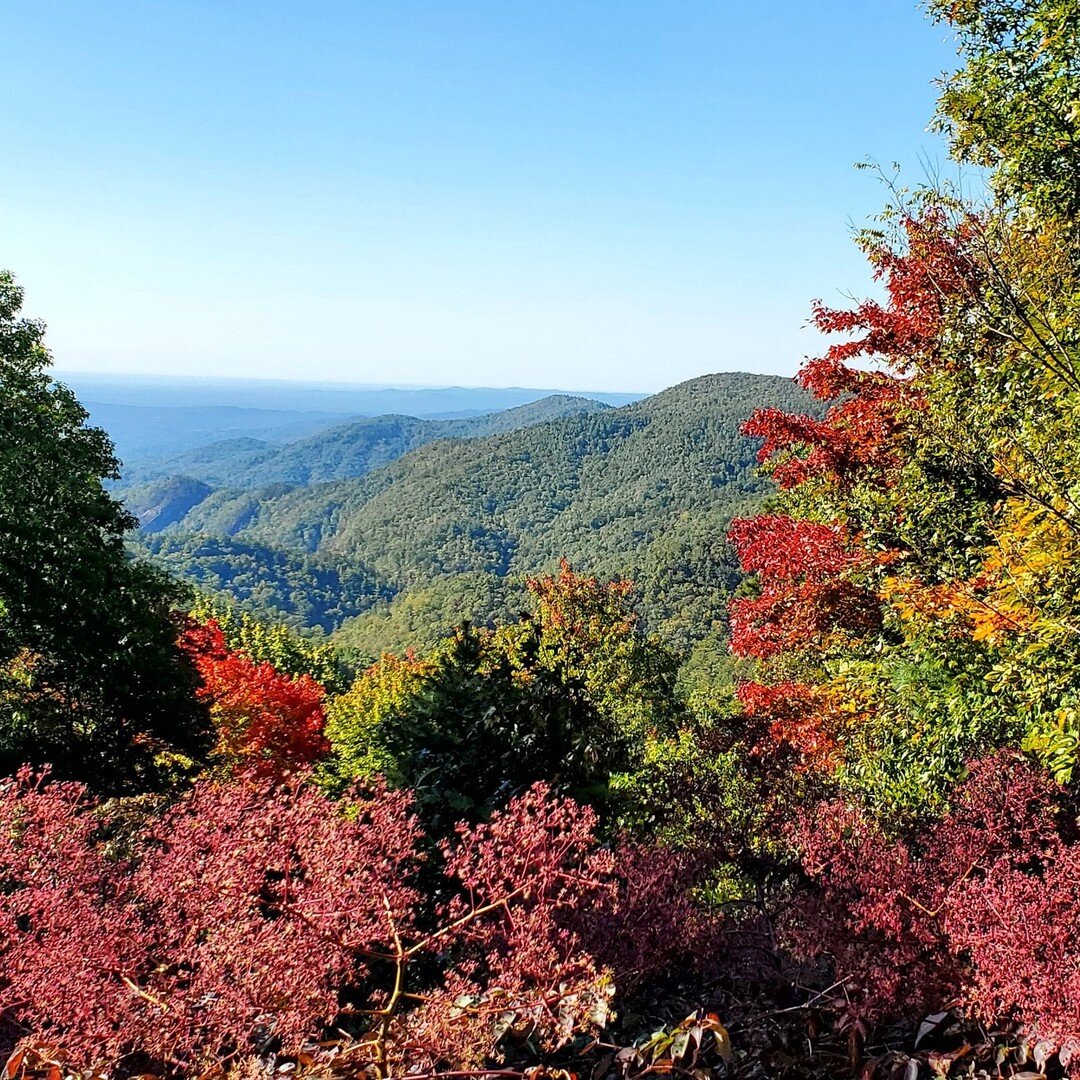 ‼️ Campground Announcement! ‼️

Who wouldn't want to spend more time outside with these beautiful fall colors?! Now you can camp under them!

The Gorges State Park Campground is ready! The reservation site will open on October 22nd with reservations 