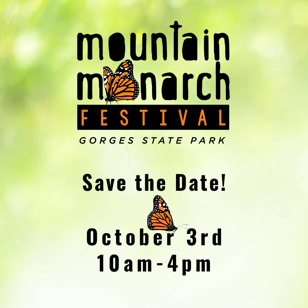 MMF Save the Date (square) (2).png