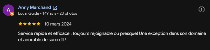 Avis positif sur le service rapide et efficace, toujours accessible ou presque, avec une mention de son domaine et de son aspect agréable dans la couronne.