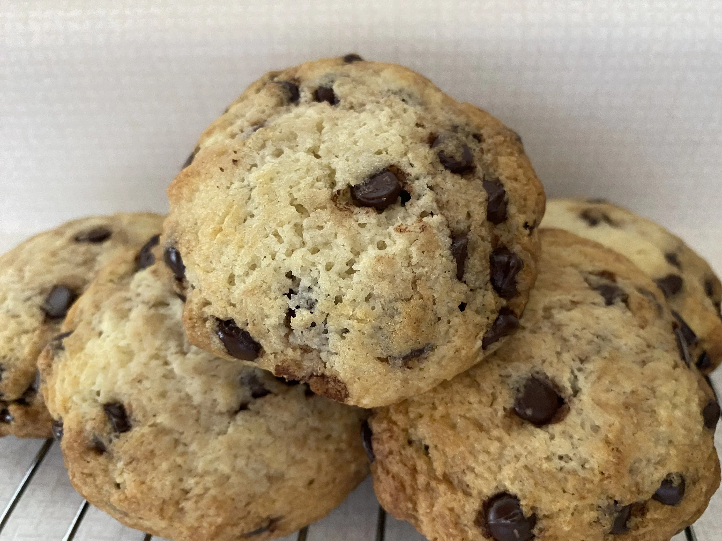 NSA Lemon CHeesecake Bars — Sugar Babys Bake Shop