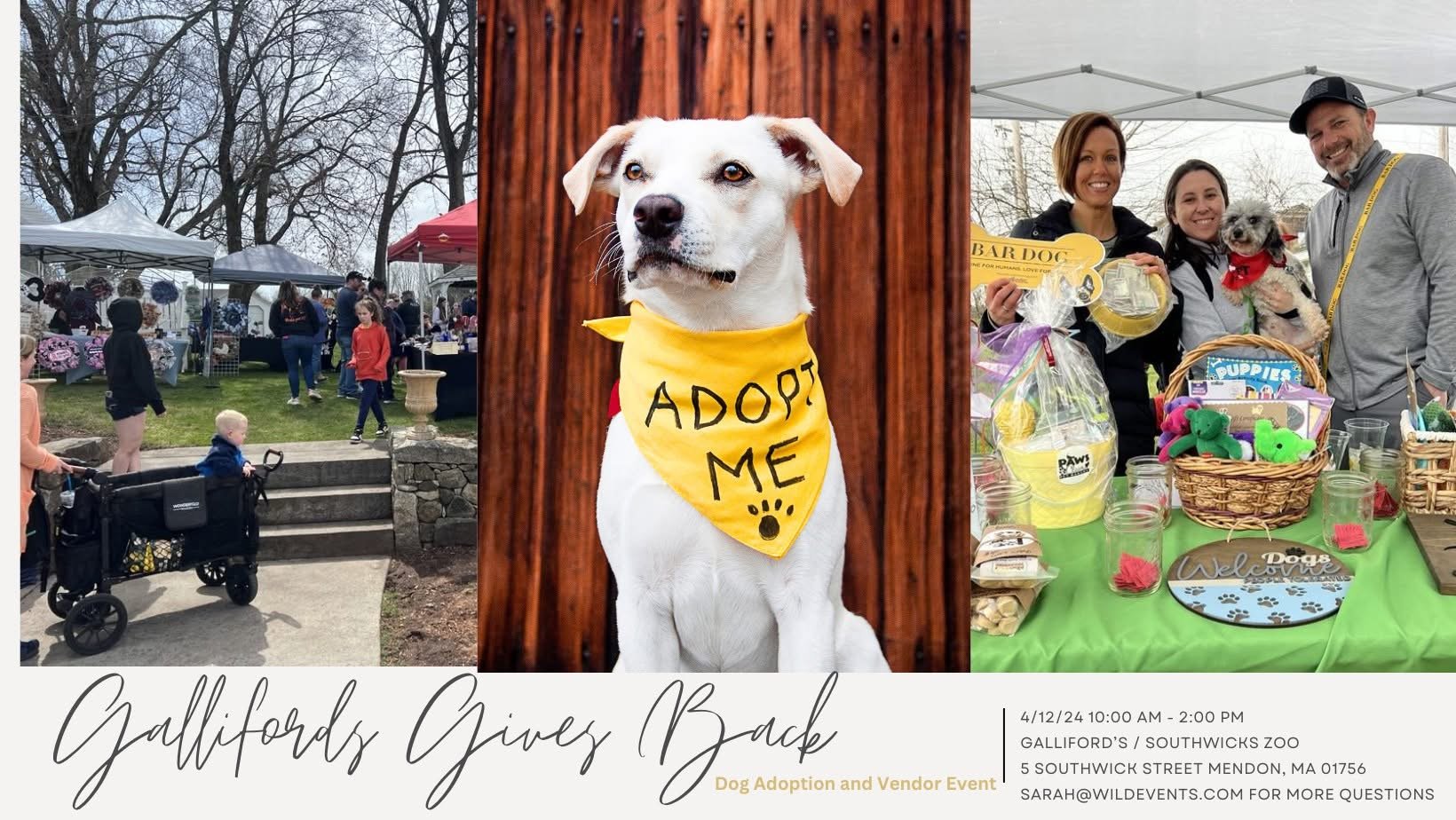 3rd Annual Dog Adoption | Southwick's Zoo