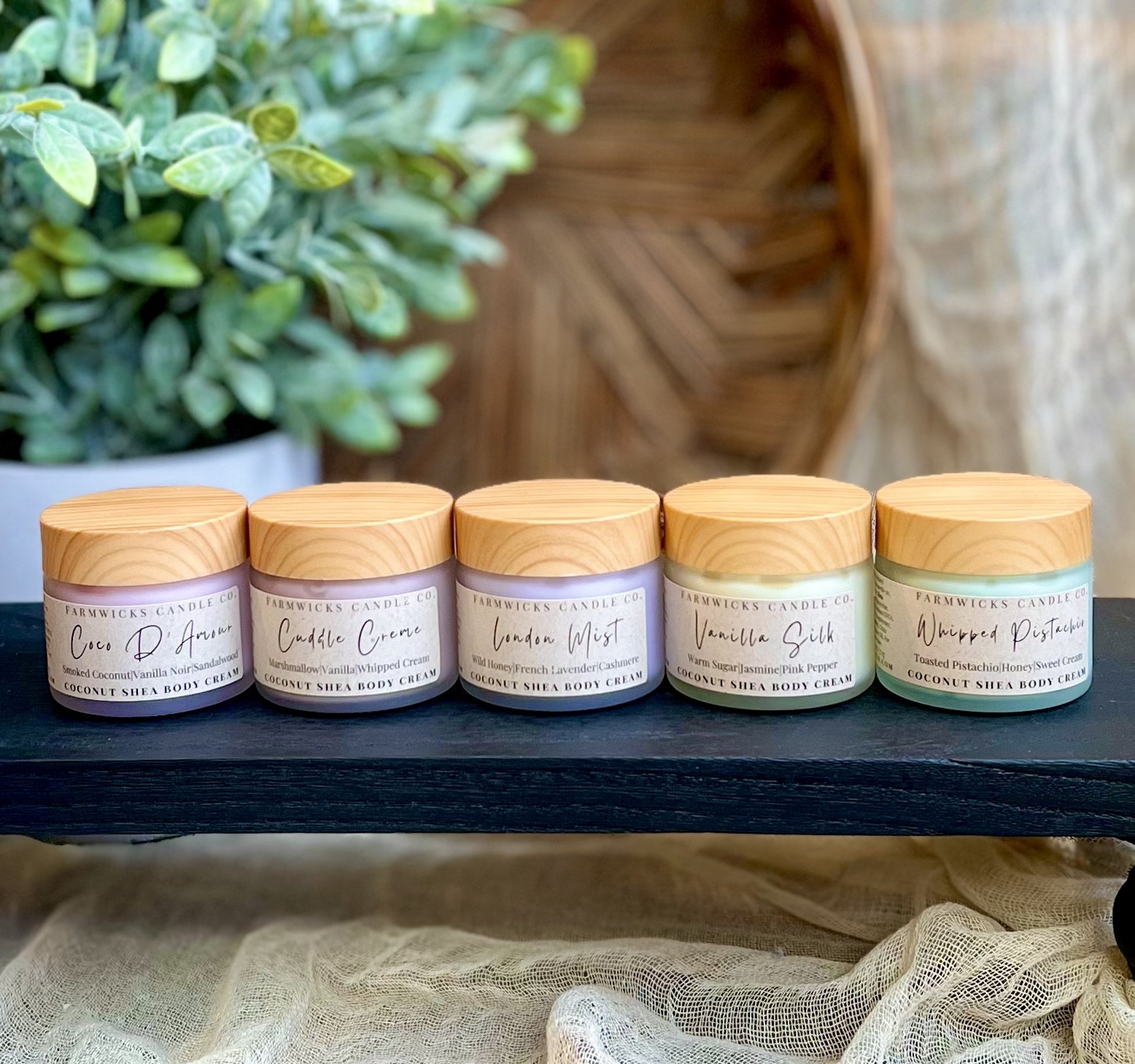 Coconut Shea Body Cream