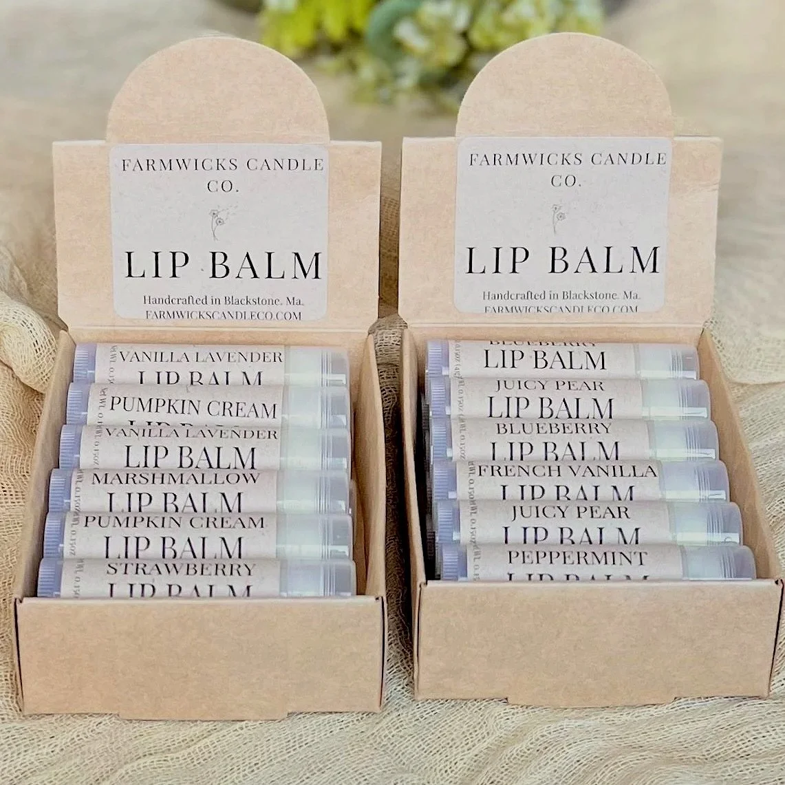 Lip Balm