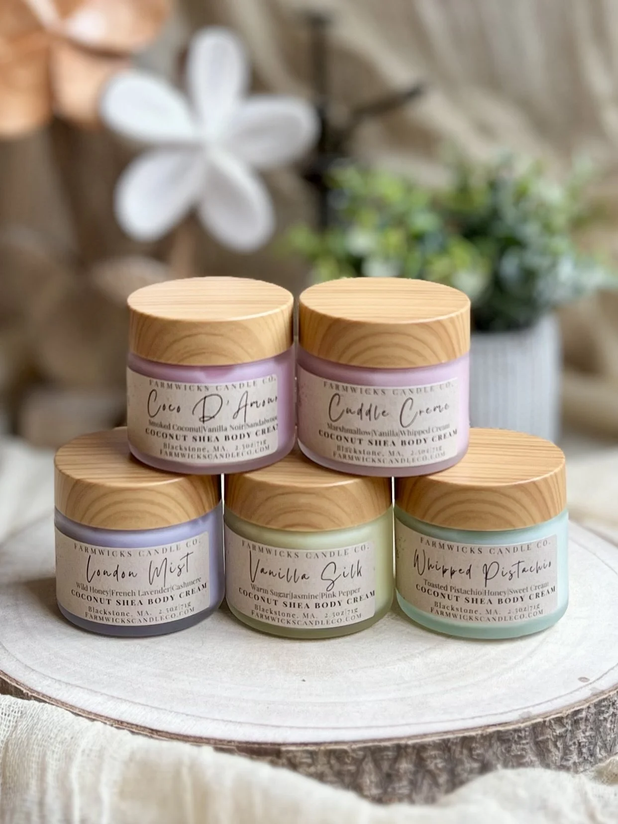 Coconut Shea Body Cream