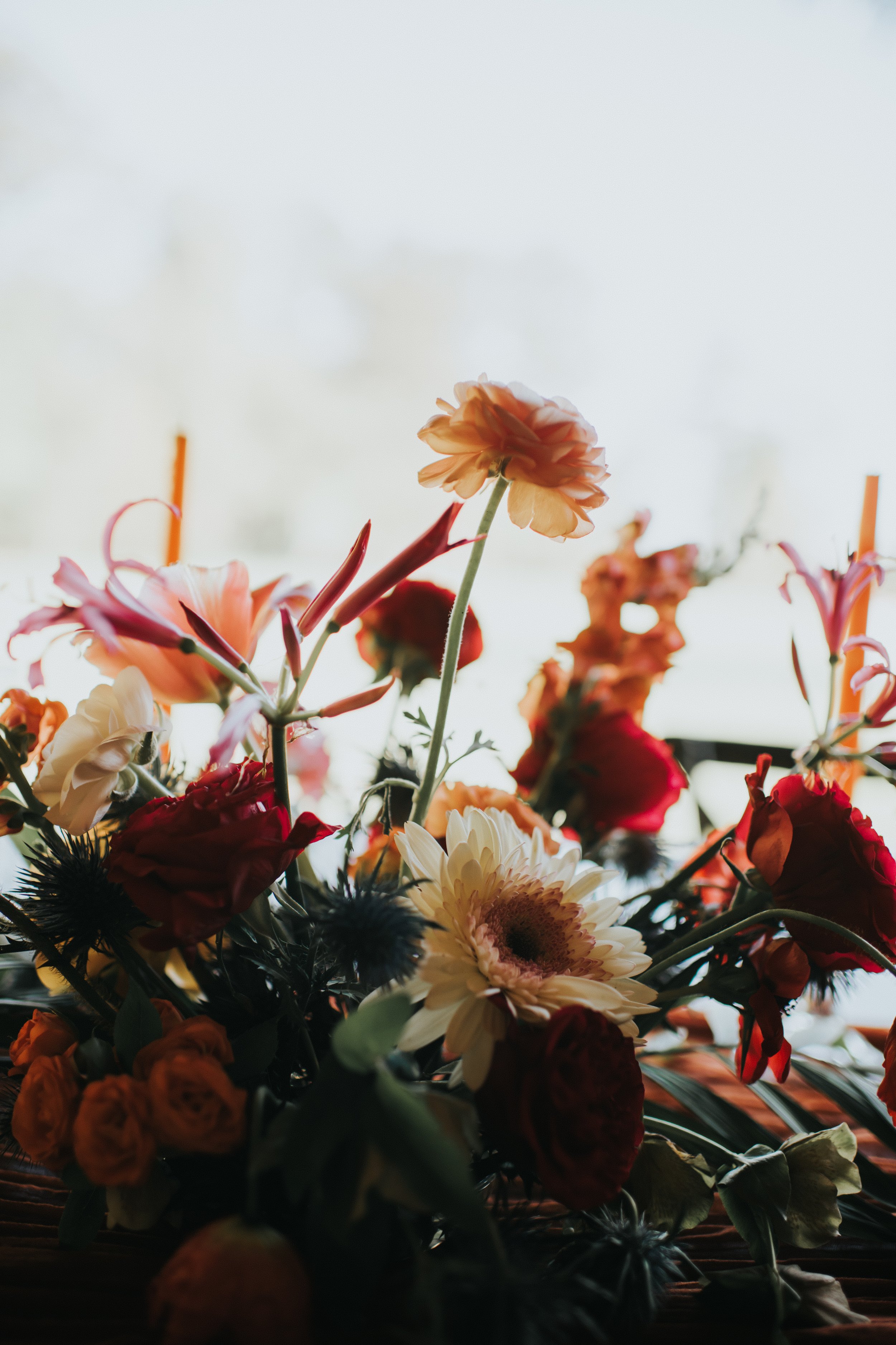 Wedding-811.jpg