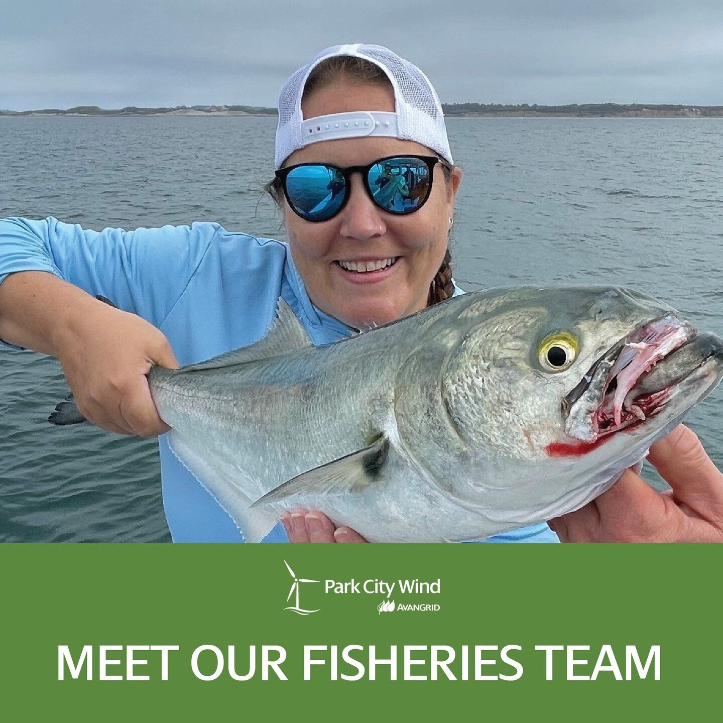 Meet our Fisheries Team: Caela Howard, Fisheries Liaison

Caela has spent the last decade working closely with fisheries in Connecticut and Rhode Island and is the primary point of contact for members of the fishing industry across the northeast. 

#